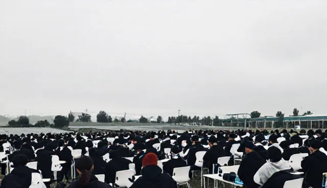 需求反馈为何常被忽视,如何有效收集与处理