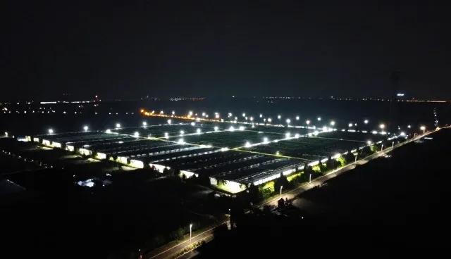 企业管理优化套餐:两种选型关注点的取舍分析